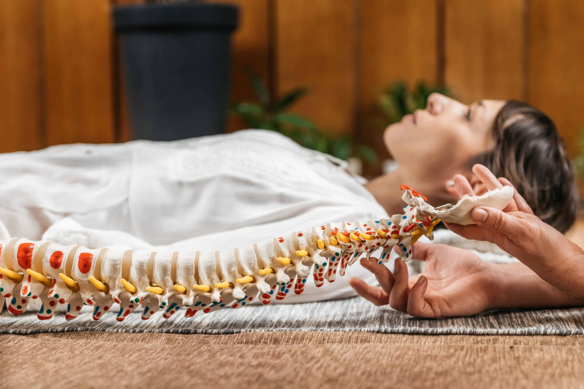 Projeto Family Chiropractic